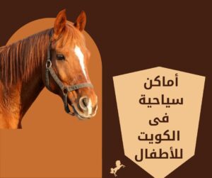 اماكن سياحية في الكويت للاطفال